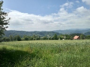 Działka budowlana Roztoka-Brzeziny Szarysz. Zdjęcie 4