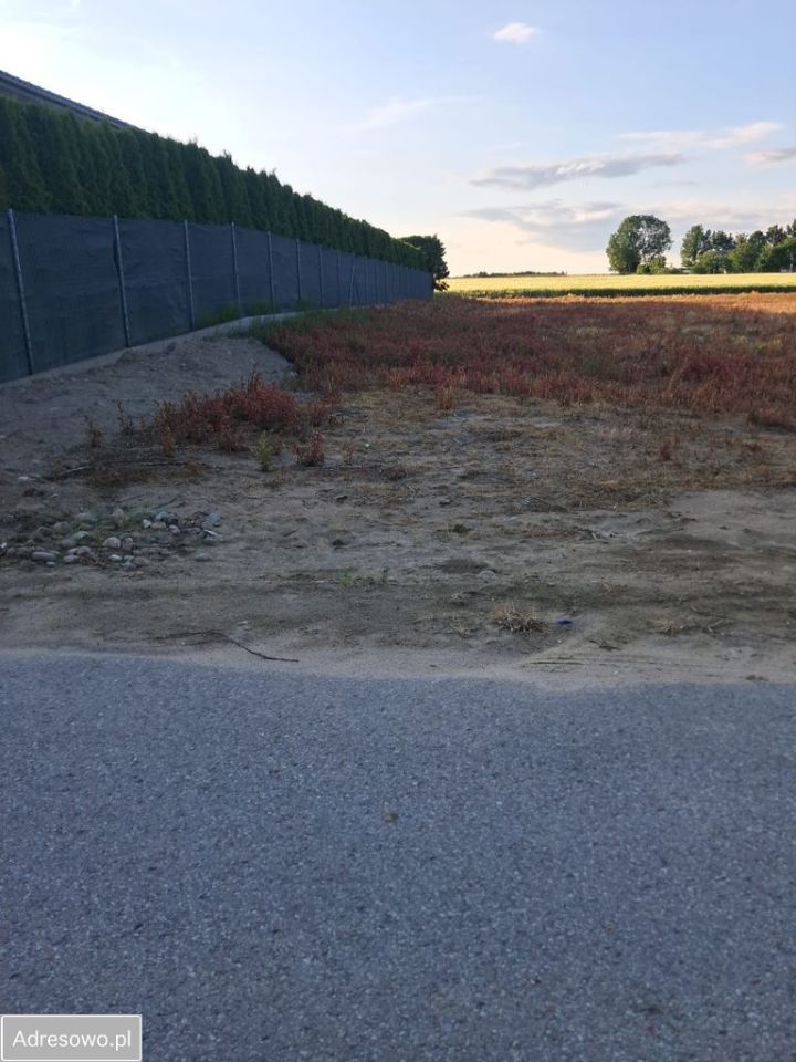 Działka rolno-budowlana Rozdroże kolonia. Zdjęcie 3