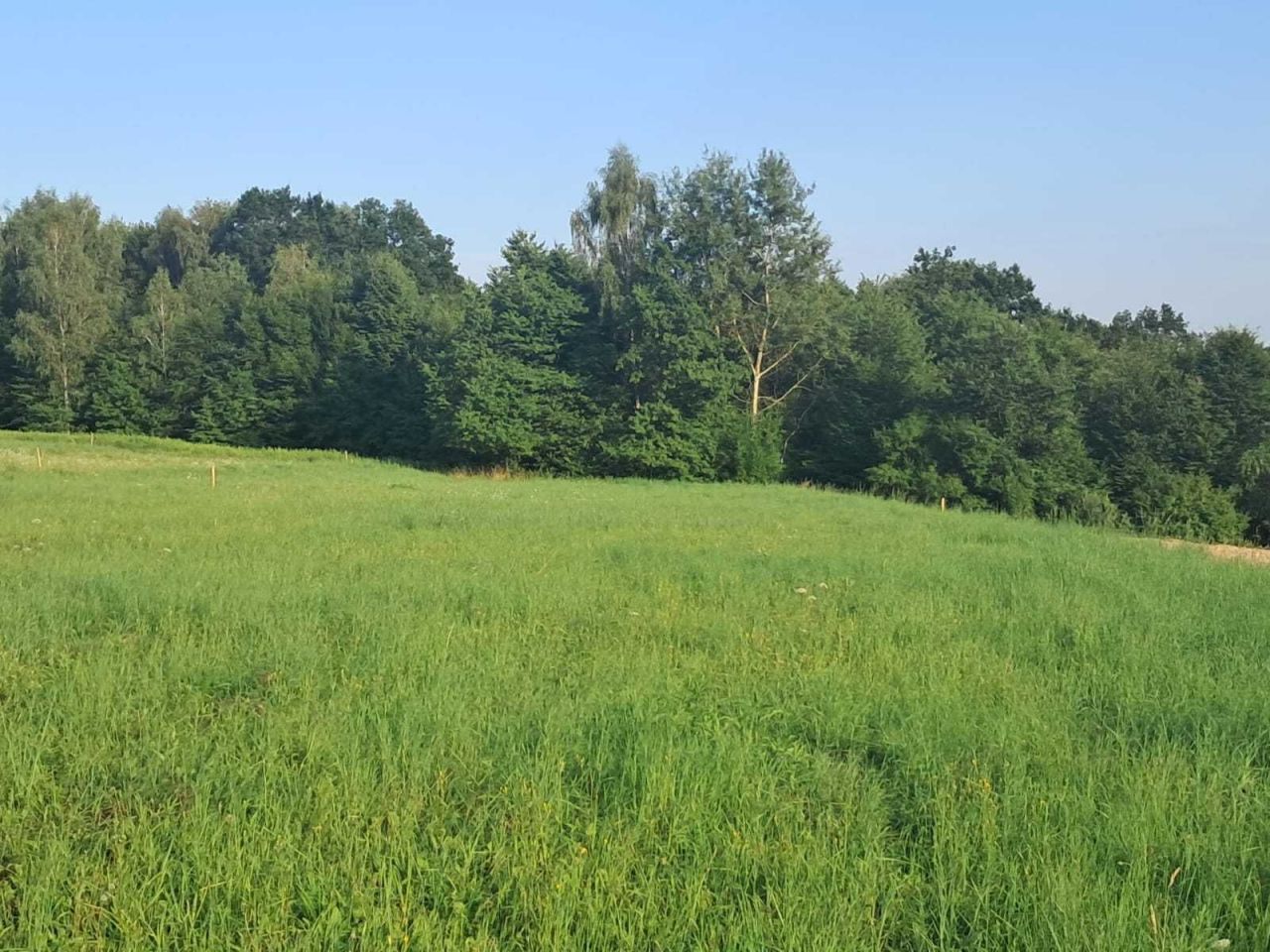 Działka budowlana Rzepiennik Strzyżewski. Zdjęcie 7