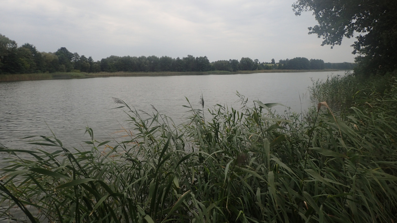 Działka budowlana Jarczechowo. Zdjęcie 4