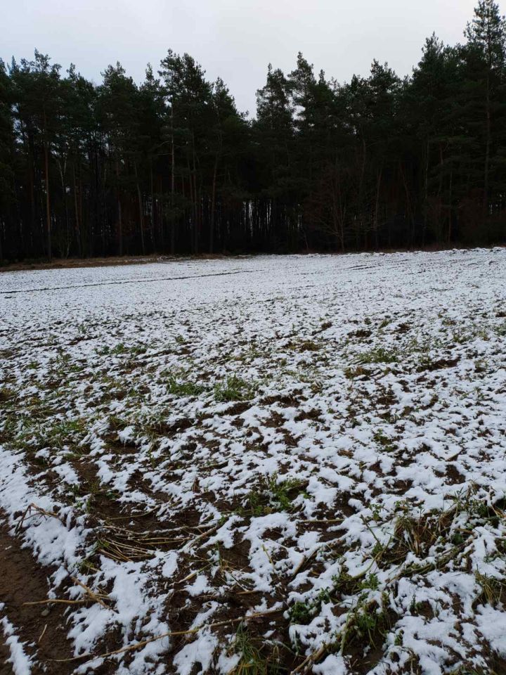 Działka budowlana Gorczeniczka. Zdjęcie 15
