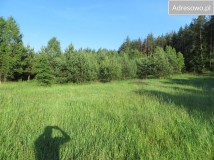 Działka siedliskowa Kołodno. Zdjęcie 1