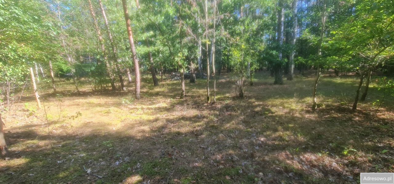 Działka inna Władysławów, ul. Ku Rzece. Zdjęcie 2