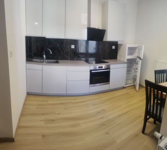 Mieszkanie 1-pokojowe Poznań Jeżyce, ul. Maksymiliana Jackowskiego. Zdjęcie 14