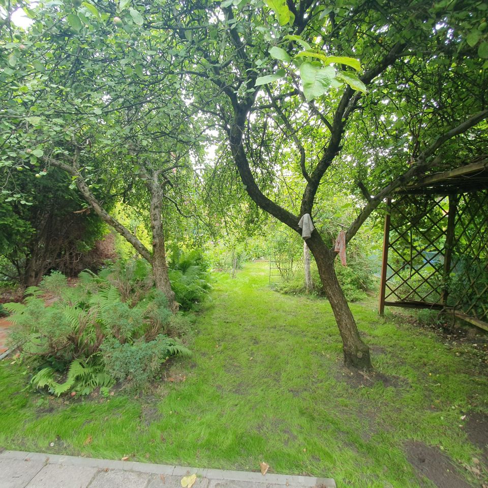 Działka rod Sosnowiec Zagórze, al. Ignacego Paderewskiego. Zdjęcie 4