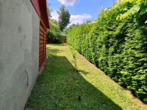 Działka rod Sulechów, ul. Łochowska. Zdjęcie 4