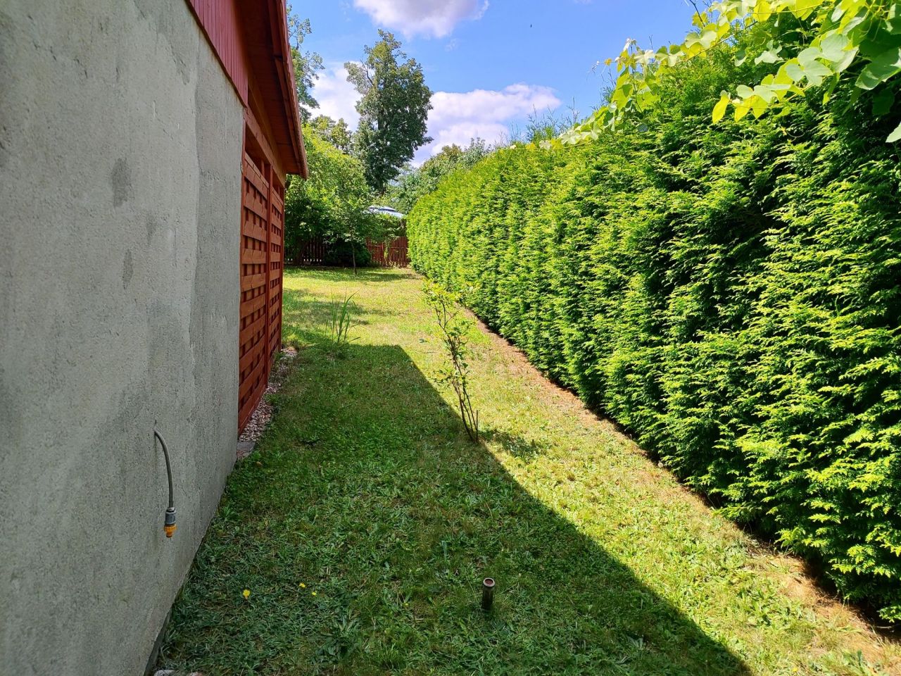 Działka rod Sulechów, ul. Łochowska. Zdjęcie 5