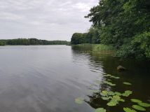 dom wolnostojący, 7 pokoi Strączno. Zdjęcie 3