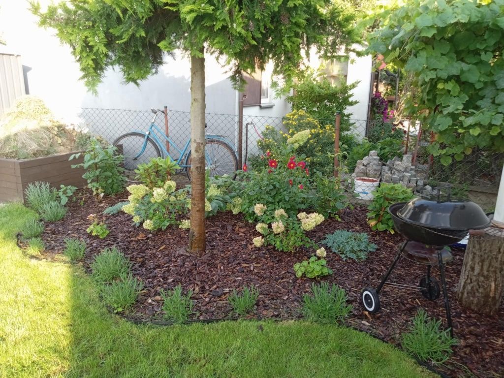 Działka rod Sokołowo. Zdjęcie 7