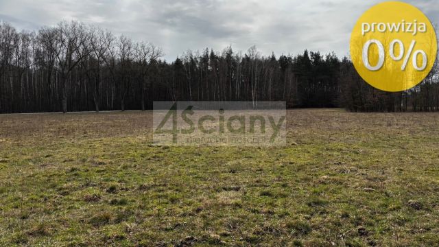 Działka rolna Chudolipie. Zdjęcie 1