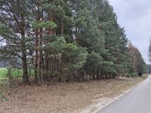 Działka budowlana Borków, BRZOZOWA. Zdjęcie 1
