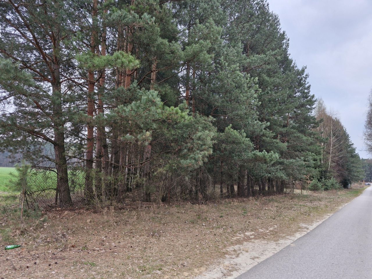 Działka budowlana Borków, BRZOZOWA. Zdjęcie 2