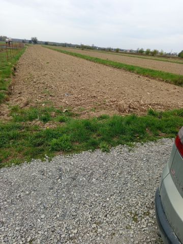 Działka rolna Książnice. Zdjęcie 1
