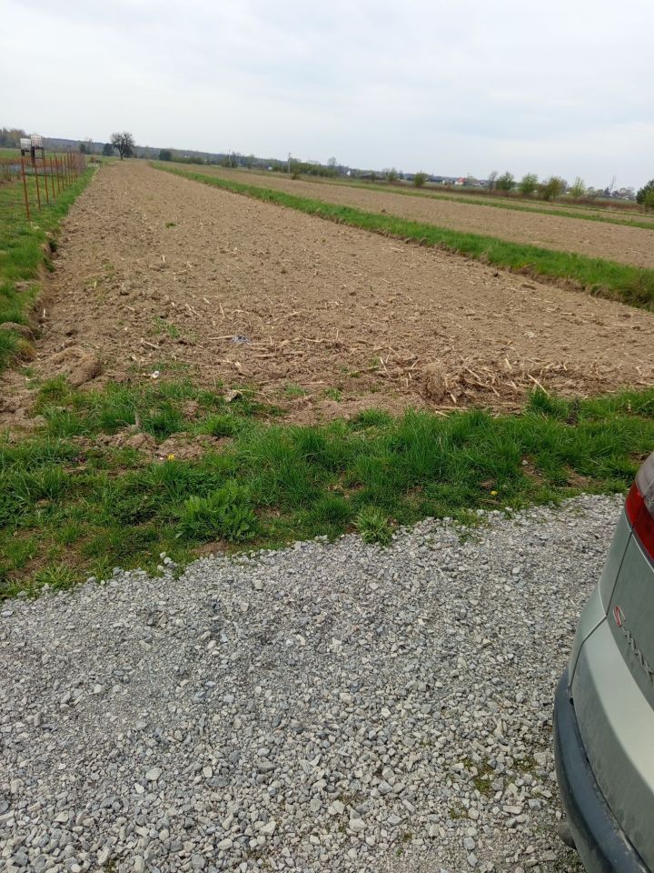 Działka rolna Książnice. Zdjęcie 1
