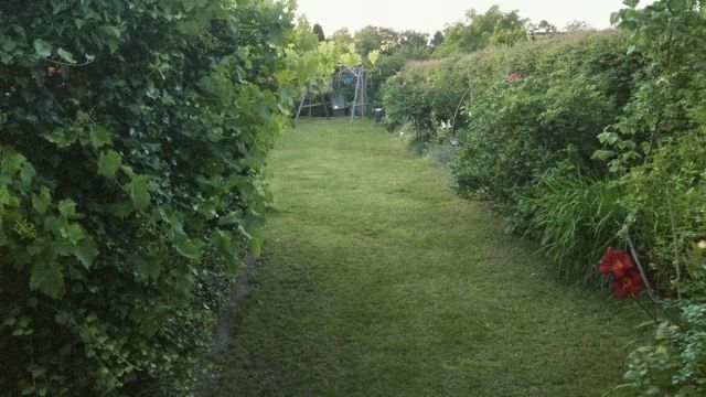 Działka rod Gdynia Obłuże, ul. płk. Stanisława Dąbka. Zdjęcie 20