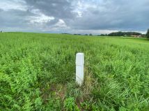 Działka rekreacyjna Dreństwo. Zdjęcie 4