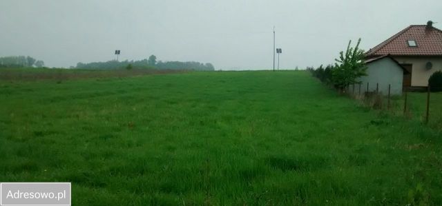 Działka rolno-budowlana Dąbrowa. Zdjęcie 1