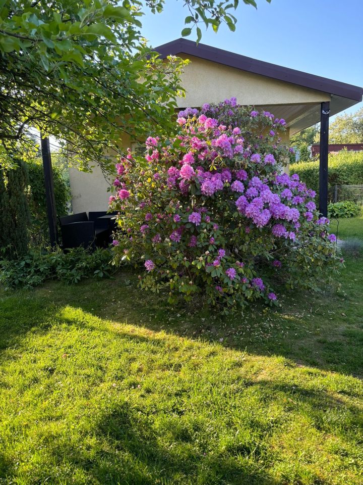 Działka rod Łagiewniki Nowe. Zdjęcie 8