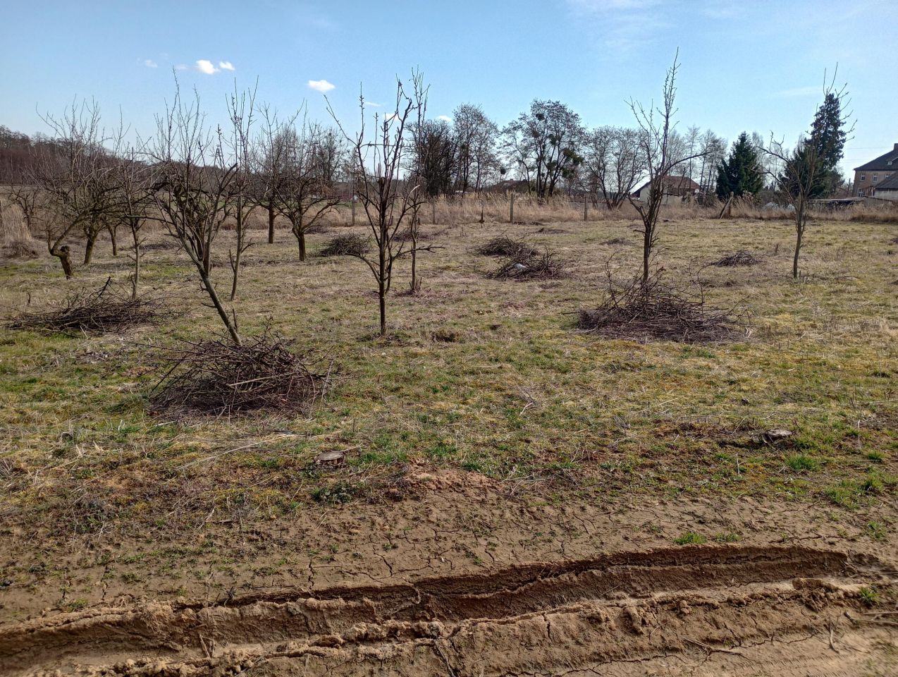 Działka budowlana Brochocin, Brak. Zdjęcie 10