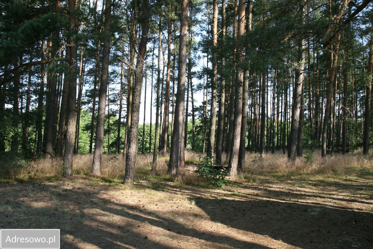 Działka budowlana Miedzno. Zdjęcie 10