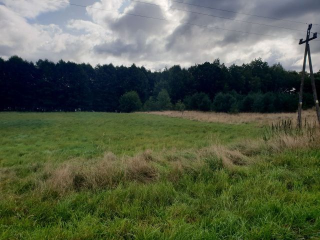 Działka siedliskowa Łupawsko. Zdjęcie 1