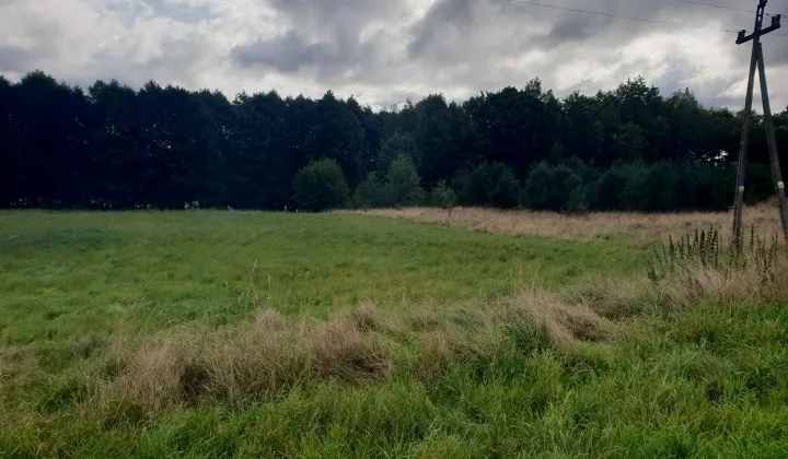 Działka siedliskowa Łupawsko