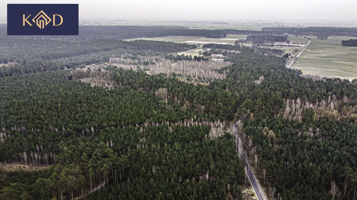 Działka inwestycyjna Dąbrowa Nowa. Zdjęcie 15