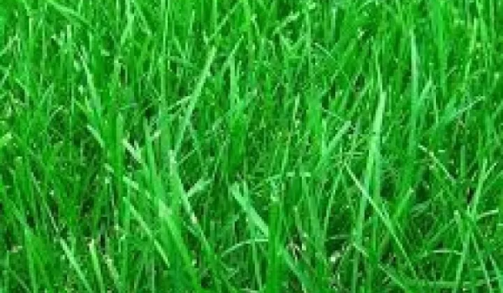 Działka budowlana Objezierze