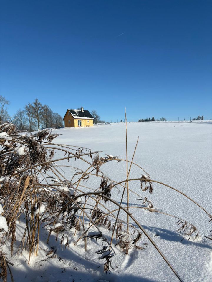Działka siedliskowa Iwaniszki. Zdjęcie 11