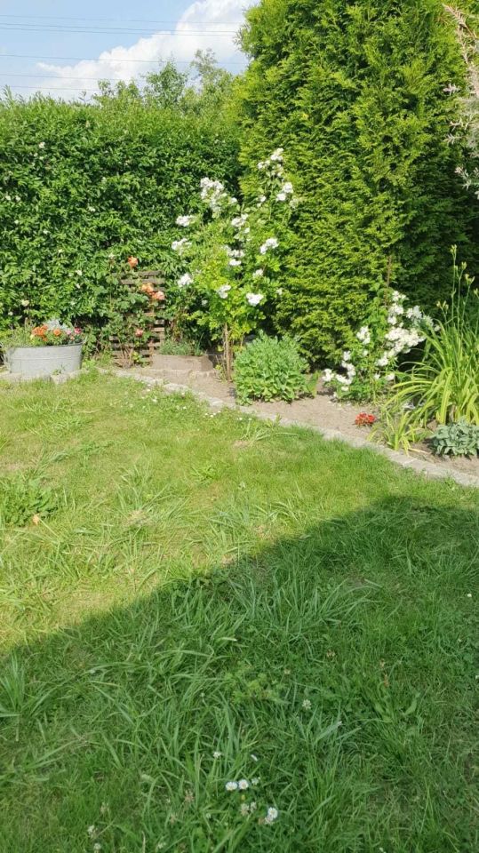 Działka rod Bytom. Zdjęcie 3