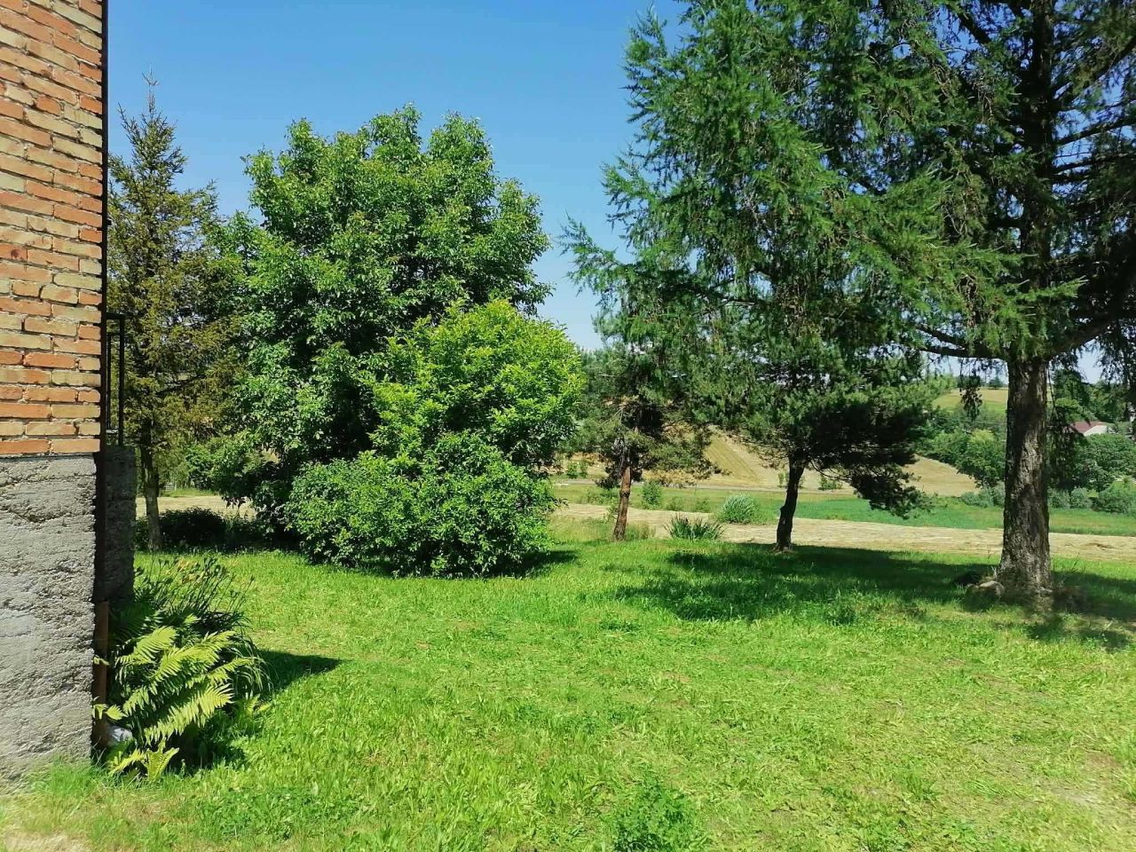 gospodarstwo Olszyny. Zdjęcie 8