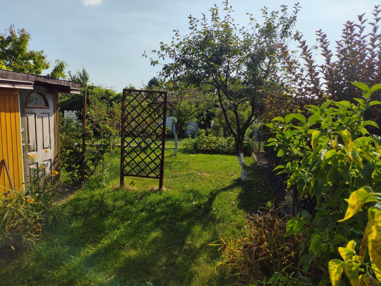 Działka rod Wałcz Raduń. Zdjęcie 4