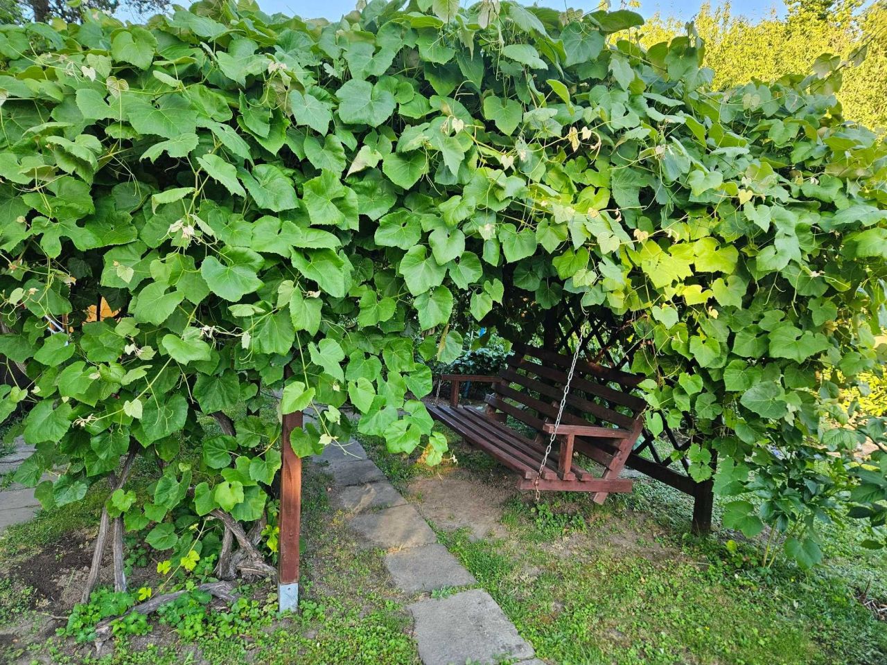 Działka rod Warszawa Mokotów. Zdjęcie 8