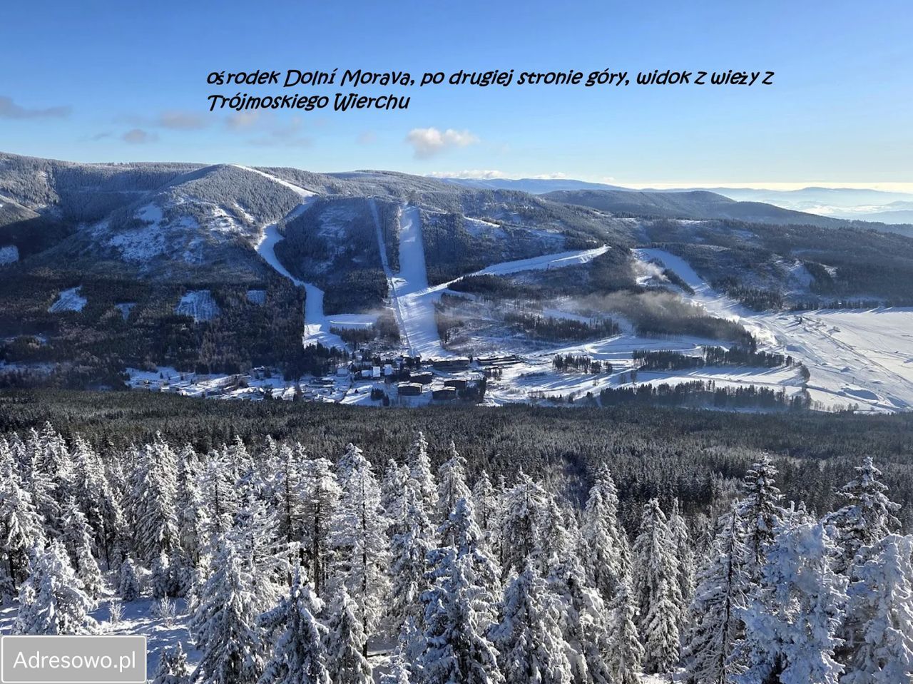 Działka budowlana Jodłów. Zdjęcie 13