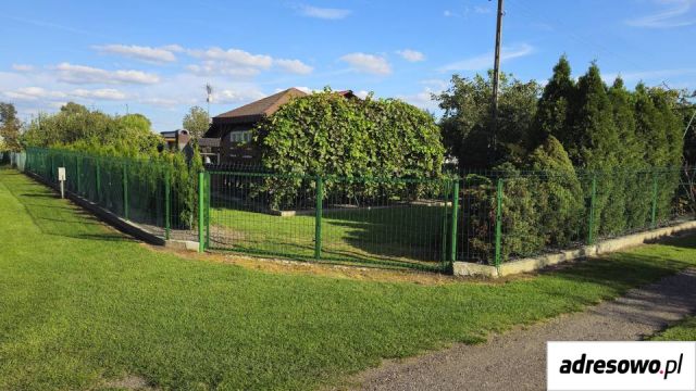 Działka rod Dzierlin. Zdjęcie 2