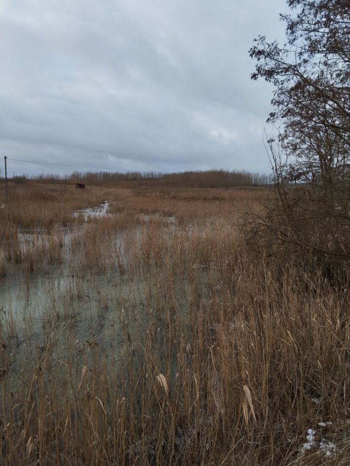 Działka rolno-budowlana Mostkowo. Zdjęcie 8