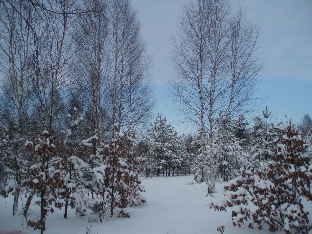 Działka inna Popielżyn Dolny. Zdjęcie 9
