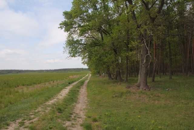 Działka budowlana Trzęsów. Zdjęcie 1