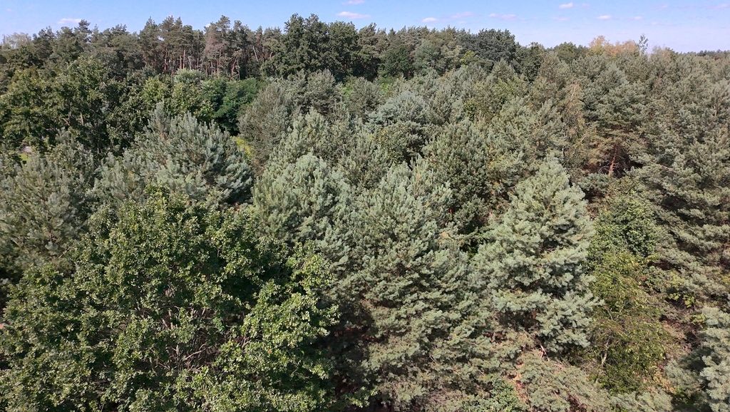 Działka budowlana Kady. Zdjęcie 3