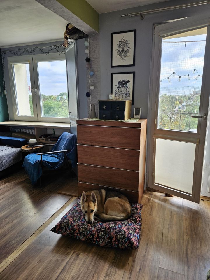 Mieszkanie 2-pokojowe Otwock, ul. Michała Andriollego. Zdjęcie 14