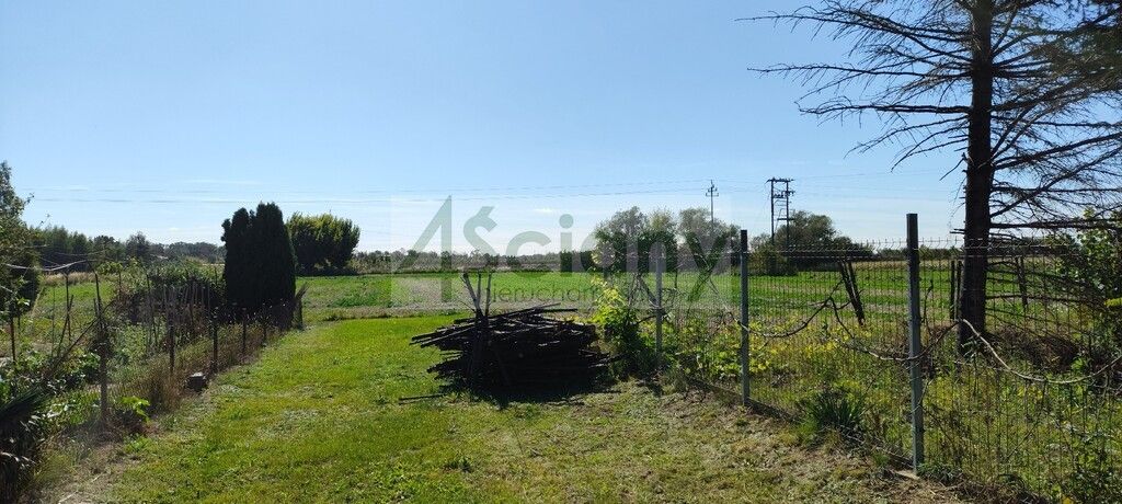 Działka rolna Bieniewo-Parcela. Zdjęcie 3