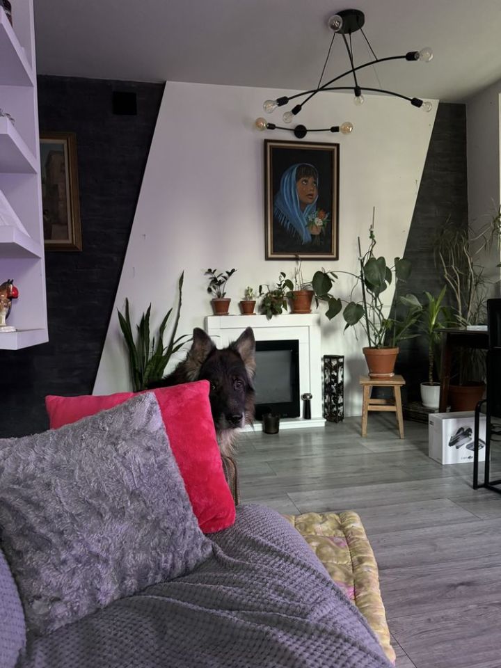 Mieszkanie 2-pokojowe Łódź Górna, ul. Jana Kilińskiego. Zdjęcie 4