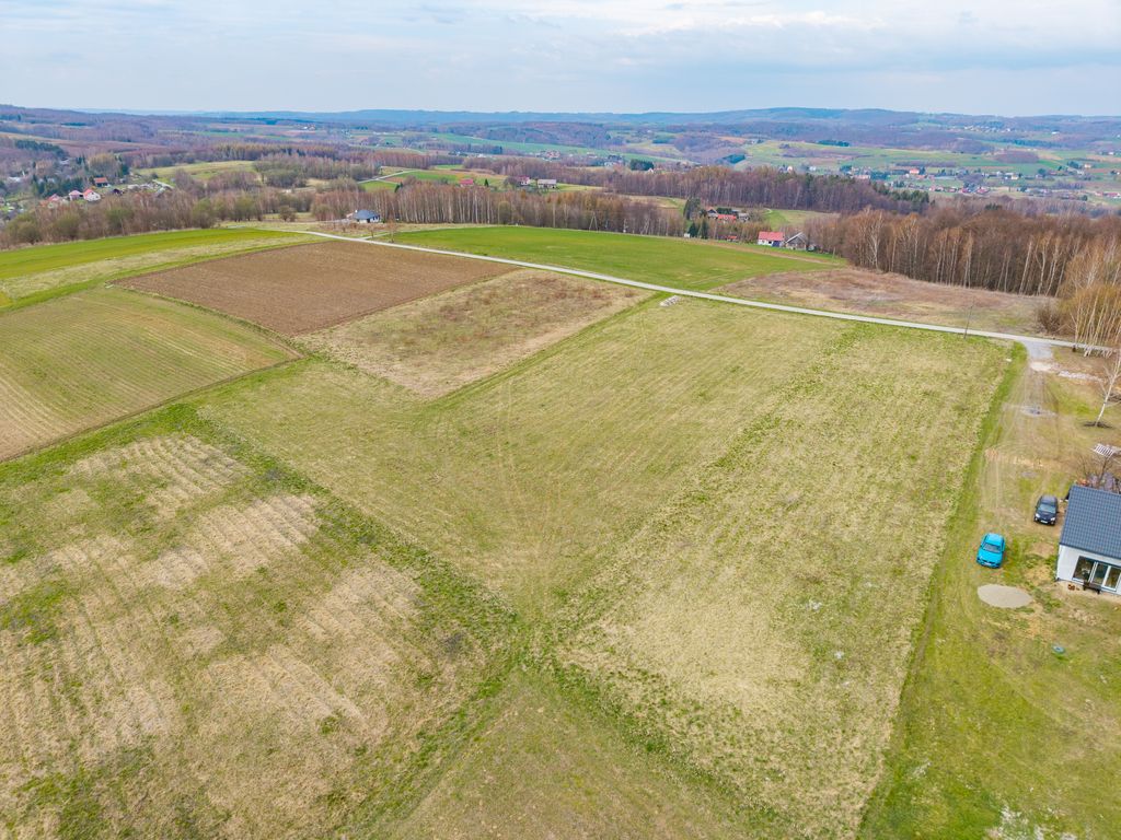 Działka budowlana Niewodna. Zdjęcie 9