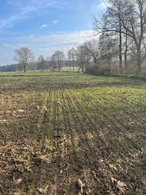 Działka rolno-budowlana Konopnica. Zdjęcie 6