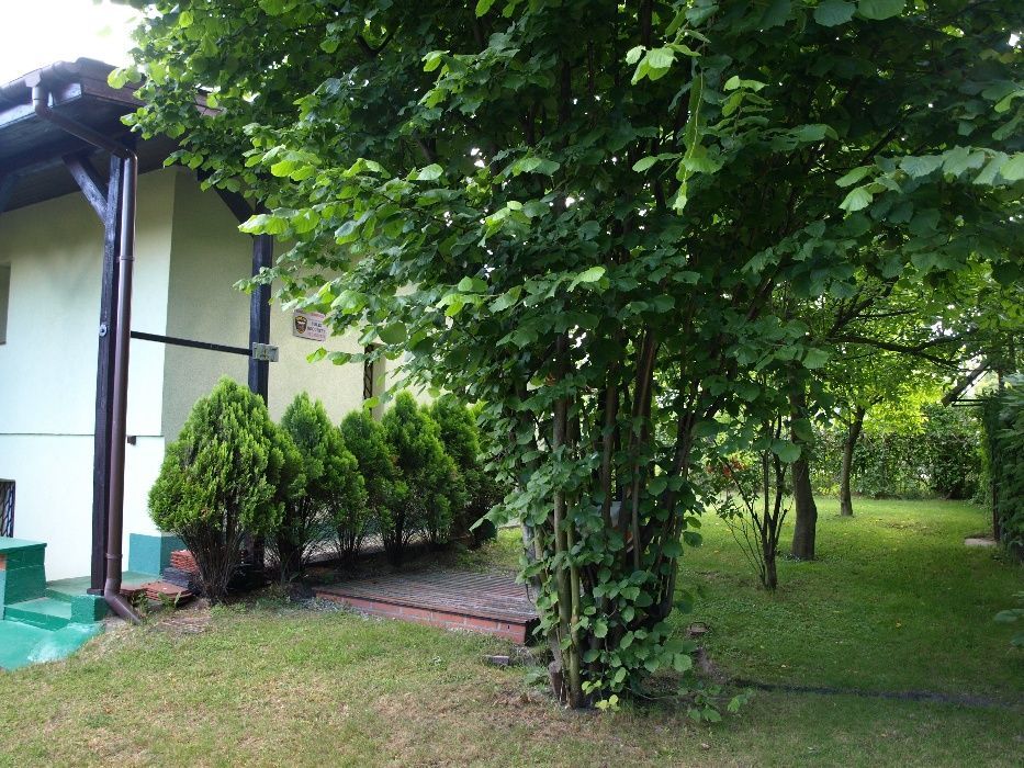 Działka rod Poznań Kiekrz. Zdjęcie 3