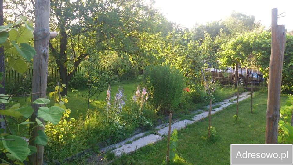 Działka rod Kielce Świętokrzyskie. Zdjęcie 7