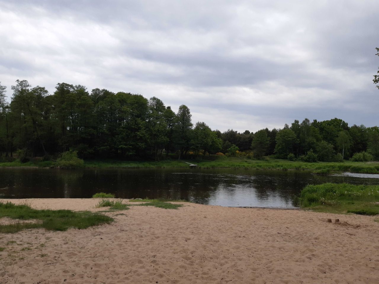 Działka leśna Ponikła. Zdjęcie 6