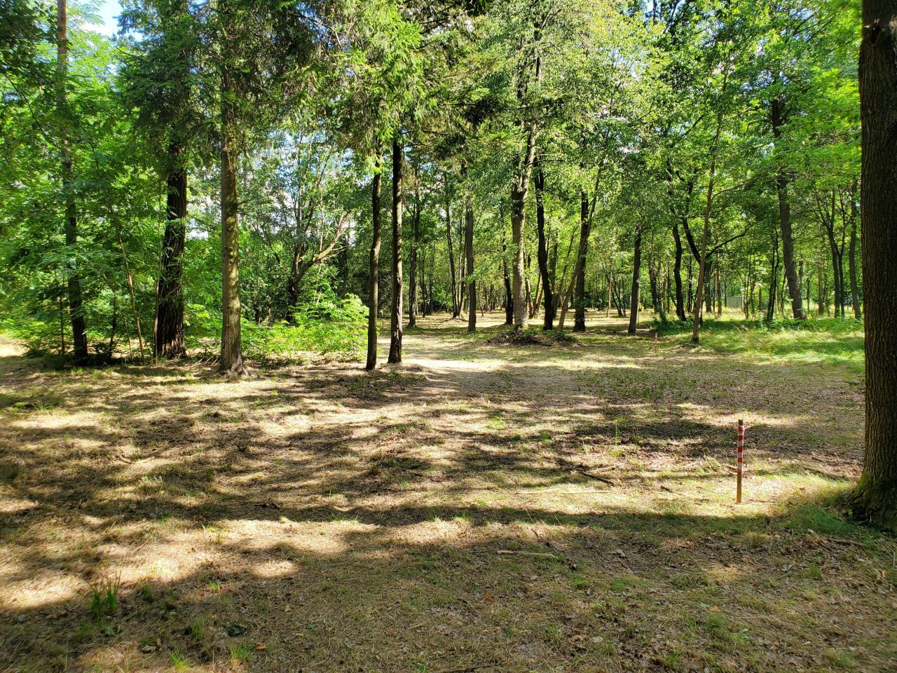 Działka rekreacyjna Czerwona Wola. Zdjęcie 7