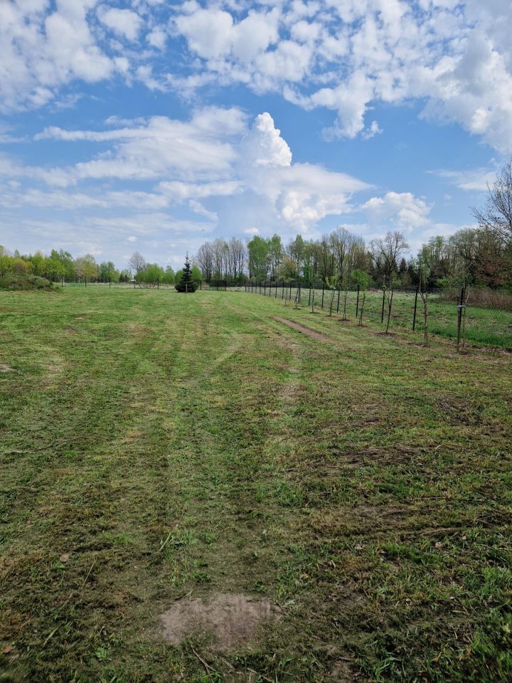 Działka rolna Podgłębokie. Zdjęcie 2