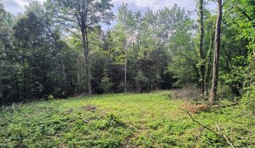 Działka leśna Smerekowiec